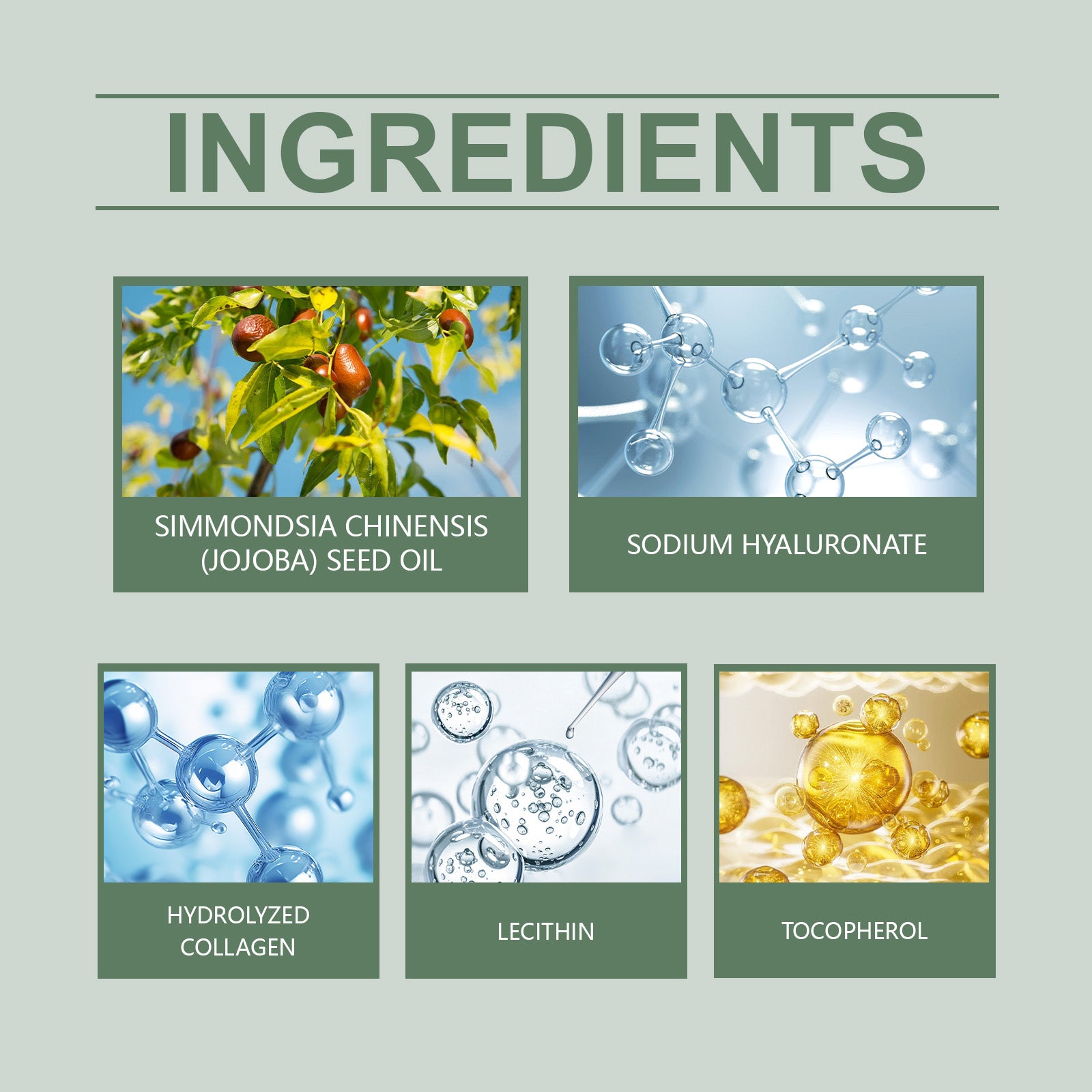 Moisturizing Skin Care Cream Nourishes The Face, Hydrates And Moisturizes The Skin